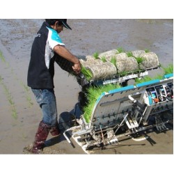 1- BIGDEL KUBOTA SPW-48C ÇELTİK FİDE DİKİM MAKİNESİ